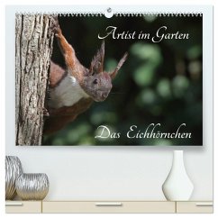 Cover Artist im Garten. Das Eichhörnchen (hochwertiger Premium Wandkalender 2026 DIN A2 quer), Kunstdruck in Hochglanz