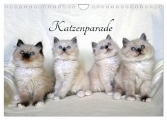 Katzenparade (Wandkalender 2026 DIN A4 quer), CALVENDO Monatskalender