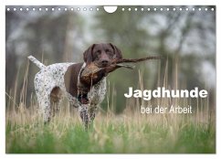 Cover Jagdhunde bei der Arbeit (Wandkalender 2026 DIN A4 quer), CALVENDO Monatskalender