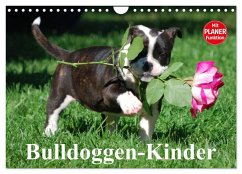 Bulldoggen-Kinder (Wandkalender 2026 DIN A4 quer), CALVENDO Monatskalender