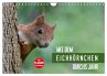 Mit dem Eichhörnchen durchs Jahr... - Bild 1