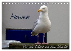 Möwen - Von der Ostsee bis zum Atlantik (Tischkalender 2026 DIN A5 quer), CALVENDO Monatskalender Möwen - Von der Ostsee bis zum Atlantik (Tischkalender 2026 DIN A5 quer), CALVENDO Monatskalender