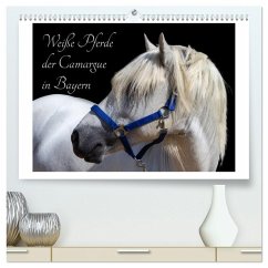 Weiße Pferde der Camargue in Bayern (hochwertiger Premium Wandkalender 2026 DIN A2 quer), Kunstdruck in Hochglanz Weiße Pferde der Camargue in Bayern (hochwertiger Premium Wandkalender 2026 DIN A2 quer), Kunstdruck in Hochglanz
