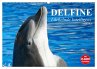Delfine - Lächelnde Intelligenz... - Bild 1