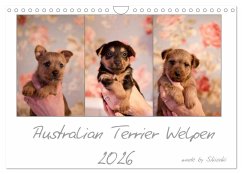 Australian Terrier Welpen (Wandkalender 2026 DIN A4 quer), CALVENDO Monatskalender Cover Australian Terrier Welpen (Wandkalender 2026 DIN A4 quer), CALVENDO Monatskalender
