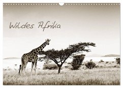 Wildes Afrika (Wandkalender 2026 DIN A3 quer), CALVENDO Monatskalender Wildes Afrika (Wandkalender 2026 DIN A3 quer), CALVENDO Monatskalender