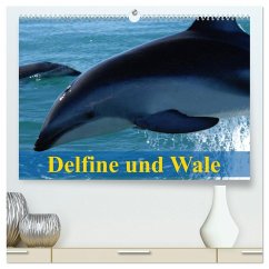 Delfine und Wale (hochwertiger Premium Wandkalender 2026 DIN A2 quer), Kunstdruck in Hochglanz