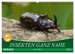 INSEKTEN GANZ NAHE (Wandkalender 2026 DIN A2 quer), CALVENDO Monatskalender INSEKTEN GANZ NAHE (Wandkalender 2026 DIN A2 quer), CALVENDO Monatskalender