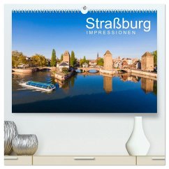 Straßburg Impressionen (hochwertiger Premium Wandkalender 2026 DIN A2 quer), Kunstdruck in Hochglanz Straßburg Impressionen (hochwertiger Premium Wandkalender 2026 DIN A2 quer), Kunstdruck in Hochglanz