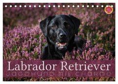Cover Labrador Retriever - Jagdhund mit Charme (Tischkalender 2026 DIN A5 quer), CALVENDO Monatskalender