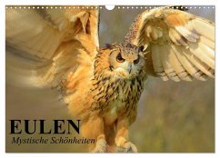 Cover Eulen. Mystische Schönheiten (Wandkalender 2026 DIN A3 quer), CALVENDO Monatskalender