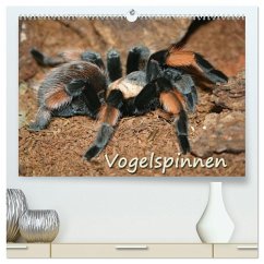 Cover Vogelspinnen (hochwertiger Premium Wandkalender 2026 DIN A2 quer), Kunstdruck in Hochglanz