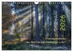 Cover Planungskalender Märchenwald 2026 (Wandkalender 2026 DIN A4 quer), CALVENDO Monatskalender