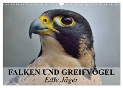 Cover Falken und Greifvögel. Edle Jäger (Wandkalender 2026 DIN A3 quer), CALVENDO Monatskalender