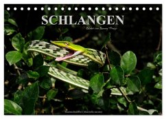 Schlangen (Tischkalender 2026 DIN A5 quer), CALVENDO Monatskalender Schlangen (Tischkalender 2026 DIN A5 quer), CALVENDO Monatskalender