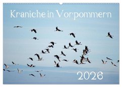 Cover Kraniche in Vorpommern (Wandkalender 2026 DIN A2 quer), CALVENDO Monatskalender