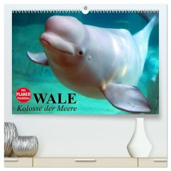 Cover Wale. Kolosse der Meere (hochwertiger Premium Wandkalender 2026 DIN A2 quer), Kunstdruck in Hochglanz