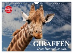 Cover Giraffen. Dem Himmel so nah (Wandkalender 2026 DIN A4 quer), CALVENDO Monatskalender