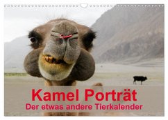 Kamel Porträt (Wandkalender 2026 DIN A3 quer), CALVENDO Monatskalender