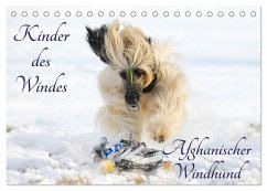 Cover Kinder des Windes - Afghanischer Windhund (Tischkalender 2026 DIN A5 quer), CALVENDO Monatskalender