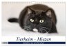 Tierheim - Miezen (Wandkalender 2026... - Bild 1
