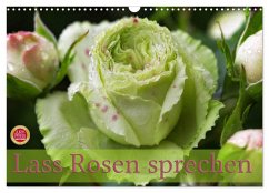 Lass Rosen sprechen (Wandkalender 2026 DIN A3 quer), CALVENDO Monatskalender