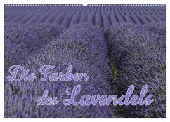 Die Farbe des Lavendels (Wandkalender 2026 DIN A2 quer), CALVENDO Monatskalender