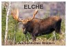 ELCHE In den nördlichen Wäldern... - Bild 1