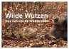 Wilde Wutzen. Das heimische Wildschwein... - Bild 1
