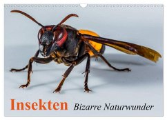 Cover Insekten ¿ Bizarre Naturwunder (Wandkalender 2026 DIN A3 quer), CALVENDO Monatskalender