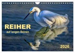 Reiher - auf langen Beinen (Wandkalender 2026 DIN A4 quer), CALVENDO Monatskalender