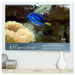 Cover Riffbewohner - Bunte Fische, Anemonen und noch viel mehr (hochwertiger Premium Wandkalender 2026 DIN A2 quer), Kunstdruck in Hochglanz