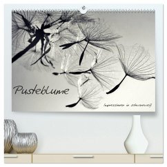 Pusteblume - Impressionen in schwarzweiß (hochwertiger Premium Wandkalender 2026 DIN A2 quer), Kunstdruck in Hochglanz Pusteblume - Impressionen in schwarzweiß (hochwertiger Premium Wandkalender 2026 DIN A2 quer), Kunstdruck in Hochglanz