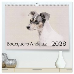 Bodeguero Andaluz 2026 (hochwertiger Premium Wandkalender 2026 DIN A2 quer), Kunstdruck in Hochglanz Bodeguero Andaluz 2026 (hochwertiger Premium Wandkalender 2026 DIN A2 quer), Kunstdruck in Hochglanz