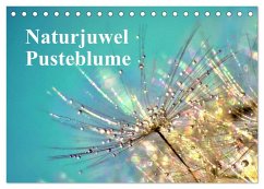 Naturjuwel Pusteblume (Tischkalender 2026 DIN A5 quer), CALVENDO Monatskalender Naturjuwel Pusteblume (Tischkalender 2026 DIN A5 quer), CALVENDO Monatskalender