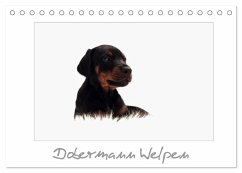 Cover Dobermann Welpen (Tischkalender 2026 DIN A5 quer), CALVENDO Monatskalender