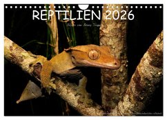 REPTILIEN (Wandkalender 2026 DIN A4 quer), CALVENDO Monatskalender