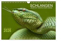SCHLANGEN. JÄGER MIT GESPALTENER ZUNGE (Wandkalender 2026 DIN A4 quer), CALVENDO Monatskalender SCHLANGEN. JÄGER MIT GESPALTENER ZUNGE (Wandkalender 2026 DIN A4 quer), CALVENDO Monatskalender