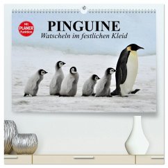Pinguine - Watscheln im festlichen Kleid (hochwertiger Premium Wandkalender 2026 DIN A2 quer), Kunstdruck in Hochglanz Pinguine - Watscheln im festlichen Kleid (hochwertiger Premium Wandkalender 2026 DIN A2 quer), Kunstdruck in Hochglanz