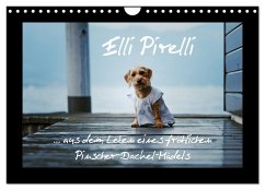 Cover Elli Pirelli... aus dem Leben eines fröhlichen Pinscher-Dackel-Mädels (Wandkalender 2026 DIN A4 quer), CALVENDO Monatskalender