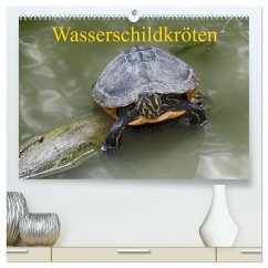 Cover Wasserschildkröten (hochwertiger Premium Wandkalender 2026 DIN A2 quer), Kunstdruck in Hochglanz