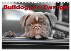Cover Bulldoggen-Zwerge (Wandkalender 2026 DIN A3 quer), CALVENDO Monatskalender
