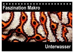 Cover Faszination Makro Unterwasser (Tischkalender 2026 DIN A5 quer), CALVENDO Monatskalender