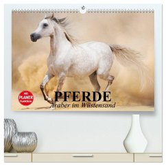 Cover Pferde. Araber im Wüstensand (hochwertiger Premium Wandkalender 2026 DIN A2 quer), Kunstdruck in Hochglanz