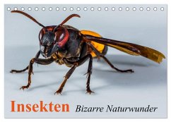 Cover Insekten ¿ Bizarre Naturwunder (Tischkalender 2026 DIN A5 quer), CALVENDO Monatskalender