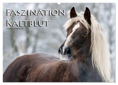 Faszination Kaltblut (Wandkalender 2026 DIN A2 quer), CALVENDO Monatskalender Faszination Kaltblut (Wandkalender 2026 DIN A2 quer), CALVENDO Monatskalender