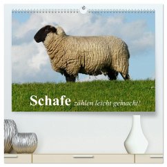 Cover Schafe zählen leicht gemacht! (hochwertiger Premium Wandkalender 2026 DIN A2 quer), Kunstdruck in Hochglanz