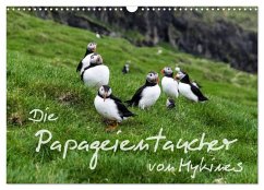 Cover Die Papageientaucher von Mykines (Wandkalender 2026 DIN A3 quer), CALVENDO Monatskalender
