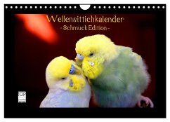 Wellensittichkalender - Schmuck Edition (Wandkalender 2026 DIN A4 quer), CALVENDO Monatskalender Wellensittichkalender - Schmuck Edition (Wandkalender 2026 DIN A4 quer), CALVENDO Monatskalender