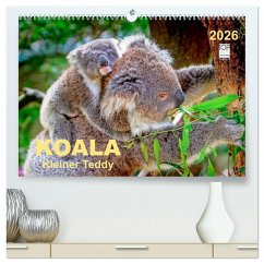 Koala - kleiner Teddy (hochwertiger Premium Wandkalender 2026 DIN A2 quer), Kunstdruck in Hochglanz